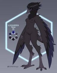 2024 4_toes anisodactyl anthro avian avian_feet beak bird black_body black_feathers black_hair blue_eyes breasts corvid corvus_(genus) feathered_wings feathers feet female fin front_view genitals hair hi_res model_sheet nipple_piercing nipples non-mammal_breasts non-mammal_nipples oscine passerine piercing pussy raven small_breasts solo standing tail tail_fin toes w4g4 winged_arms wings