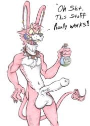 2019 3_fingers absurd_res anthro ass balls beverage biceps big_balls bottle buckteeth chest_tuft claws collar demon english_text fingers front_view fur hi_res holding_object horn humanoid_penis hyper jewelry lagomorph leporid long_ears long_tail madlag male male_only mammal multicolored_body multicolored_fur muscular nude open_mouth penis piercing pink_body pink_fur pose potion rabbit sharp_teeth signature skinny solo solo_focus spade spade_tail spiked_collar spikes standing teeth text traditional_media_(artwork) tuft two_tone_body two_tone_fur vein veiny_penis