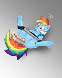 2014 bondage bound dynamite equid equine explosives female feral friendship_is_magic gag hair horse kushina13 mammal my_little_pony penetration pony pussy rainbow_dash_(mlp) simple_background solo spreader_bar vaginal_penetration