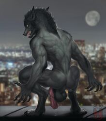 2019 5_fingers altagrin anthro back_muscles backsack balls ballsack big_muscles big_penis body_fur canine crouching dangling_testicles detailed_background digitigrade erection fangs fingers foreskin foreskin_folds fur genital_fluids grey_body grey_fur hi_res humanoid_penis hybrid_penis intact knot knotted_humanoid_penis looking_at_viewer low_hanging_balls male male_only mammal masculine muscular_male nude_male penis pinup pose precum precum_drip rear_view retracted_foreskin scrotum snarling solo teeth_bared testicles thehornslounge uncut vein veiny_penis were werecanid werecanine werewolf wolf yellow_eyes