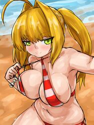 nero claudius (fate) from fate (series) by steamingtofu