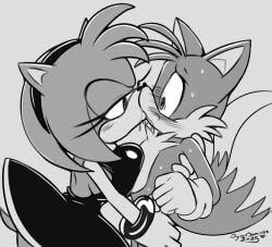 amy rose from sega by digitaldomain123