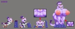 blaze the cat from project x love potion disaster by exkrill