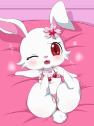 :3 bikini blush breath cameltoe cherry_blossom chest_tuft clothing female fur hare hi_res japanese_hare japanese_text jewelpet jewelpet_(species) jewelry lagomorph leporid lying mammal necklace one_eye_closed open_mouth partially_visible_vulva plant red_eyes ruby_(jewelpet) sanrio solo swimwear text tuft umejiru umejiru_mlp white_body white_fur wink