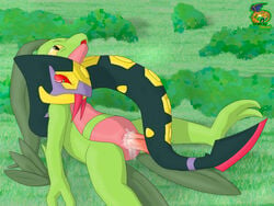 1boy 1girls 4:3 anthro charizard female grovyle male nintendo penis pokémon_(species) pokemon pokemon_(species) pokemon_rgby pokemon_rse pussy red_sclera seviper surfing_charizard text vaginal_penetration video_games watermark yellow_sclera