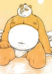 1boy 2019 absurd_res anthro asian_clothing balls belly bodily_fluids bulge chubby clothing dreamworks east_asian_clothing erection erection_under_clothes fundoshi giant_panda hi_res japanese_clothing kung_fu_panda male male_only mammal mayku moobs navel nipples overweight overweight_male panda po precum sitting solo sweat underwear ursid water