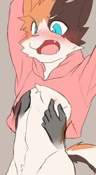 anthro blush bottomless clothed clothing disembodied_hand domestic_cat felid feline felis hi_res hoodie male male_only mammal manadezimon meme nipple_pinch nipple_play nipple_stimulation pinch solo topwear twitter_hoodie young