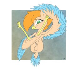 2019 absurd_res adamb/fluffy amber_(oc) animal_genitalia anthro avian beak cloaca equid equine feathers female fur green_eyes harpy hi_res horse hybrid legs_up looking_at_viewer mammal pony presenting signature simple_background solo