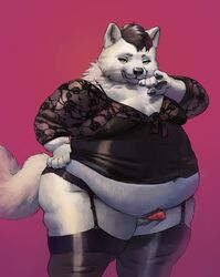 animal_genitalia animal_penis balls bedroom_eyes canid canine canine_penis canis chubby-shark clothed clothing crossdressing erection garter_belt garter_straps half-closed_eyes legwear lingerie male mammal moobs obese obese_male overweight overweight_male penis seductive smile smirk stockings wolf