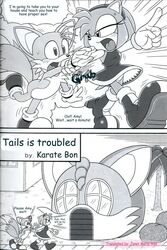 amy_rose comic fur furry furry_bomb furry_tail hedgehog mammal mitsuharu_takura multiple_tails sonic_(series) sonic_battle tail tails