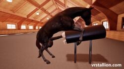 1animal 3d 3d_animation animal_genitalia animal_penis animated aroused aroused_male balls ballsack barn big_balls big_penis bigger_male bigger_penetrating_smaller bred breeding breeding_mount breeding_mount_use breeding_mount_with_someone_inside cock equine equine_balls equine_genitalia equine_penis erect_penis erection female female_penetrated feral feral_on_female feral_on_human feral_penetrating feral_penetrating_human focus_on_penis game game_cg girl hanging_balls horse horse_penis horseballs horsecock huge_balls huge_cock large_balls large_penis male mount mounted mounting original original_character penis pov pussy stuck vagina vaginal_insertion vaginal_penetration vaginal_sex veiny_penis video_game video_game_character video_games virtual_reality vr vrstallion zoophilia