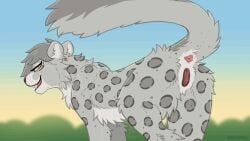 2025 2d_animation animal_genitalia animal_pussy animated anus ass biped black_body black_fur digi digital_media_(artwork) digitoxici felid feline_genitalia feline_pussy female female_feral feral fur genitals grey_body grey_fur grey_hair hair hi_res looking_at_viewer looking_back looking_back_at_viewer mammal multicolored_body multicolored_fur pantherine presenting presenting_hindquarters pussy shaking_butt snow_leopard solo white_body white_fur yellow_eyes
