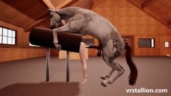 1animal 3d 3d_animation animal_genitalia animal_penis animated aroused aroused_male balls ballsack barn big_balls big_penis bigger_male bigger_penetrating_smaller bred breeding breeding_mount breeding_mount_use breeding_mount_with_someone_inside cock equine equine_balls equine_genitalia equine_penis erect_penis erection female female_penetrated feral feral_on_female feral_on_human feral_penetrating feral_penetrating_human focus_on_penis game game_cg girl hanging_balls horse horse_penis horseballs horsecock huge_balls huge_cock large_balls large_penis male mount mounted mounting original original_character penis pov pussy stuck vagina vaginal_insertion vaginal_penetration vaginal_sex veiny_penis video_game video_game_character video_games virtual_reality vr vrstallion zoophilia