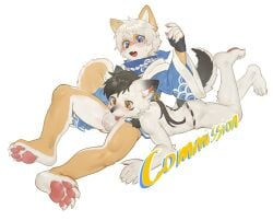 anthro asian_clothing ass balls_outline blush bulge canid canine clothing detailed_bulge duo east_asian_clothing english_text fundoshi furry genital_outline hi_res japanese_clothing kemono kimono lying male mammal on_back on_front pawpads penis_outline qftalorz simple_background text underwear white_background