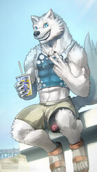 10s 2018 5_toes absurd_res anthro beach beverage biped blue_eyes bottomwear canid canine canis claws clothed clothing flip_flops footwear foreskin fur gesture glans grin half-erect hi_res humanoid_penis looking_at_viewer male male_only mammal outside penis penis_through_leghole pink_glans poking_out sandals seaside shirt shorts sitting smile solo tank_top todex toes topwear uncircumcised uncut urethra v_sign wardrobe_malfunction white_body white_fur white_penis wolf