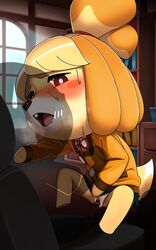 2019 animal_crossing anthro blush bodily_fluids canid canine canis clothed clothing domestic_dog duo faceless_male female fur hair hi_res isabelle_(animal_crossing) katahane3 male mammal nintendo open_mouth partially_clothed penetration penis pussy sex shih_tzu sweat toy_dog vaginal_penetration video_games yellow_body yellow_fur