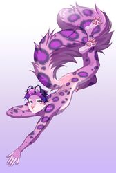 absurd_res anthro big_tail clothing crossed_legs felid fluffy fluffy_tail genitals hair hi_res hindpaw looking_at_viewer lying male male_only mammal nude on_front pantherine pawpads paws penis purple_hair rokito snow_leopard solo solo_male spots