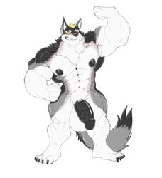 2019 5_fingers 5_toes anthro balls bfw big_balls big_muscles big_penis black_body black_fur black_nipples black_nose blonde_hair canid canine canis cursedmarked fingers flaccid flexing fur grey_body grey_fur hair hi_res huge_balls huge_cock huge_muscles looking_at_viewer male male_only mammal multitoned_fur muscular muscular_male nipples penis plantigrade simple_background solo standing toes vein veiny_penis white_background white_body white_fur wolf yellow_sclera