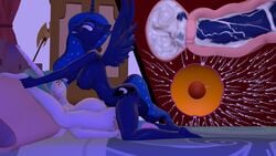 16:9 3d_(artwork) animal_genitalia animal_penis anthro ass balls big_penis bodily_fluids breasts cervical_penetration cervix creampie cum cum_in_uterus cum_inside cumshot dickgirl ejaculation equid equine equine_penis erection female forced forced_impregnation friendship_is_magic furry futanari genital_fluids hi_res horse horsecock impregnation internal intersex large_breasts leg_grab legs_up mammal mating_press mr.tektite my_little_pony nipples nude orgasm orgasm_face ovum penetration penis pony princess_celestia_(mlp) princess_luna_(mlp) pussy rape sex sleep_molestation sleeping smile source_filmmaker sperm_cell uterus vaginal_penetration x-ray