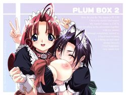 breasts nipples plum plum_box_2 studio_aqa_(fugo_and_yue)