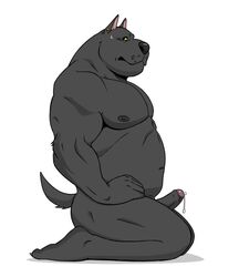 2018 american_staffordshire_terrier anthro black_body black_fur black_nipples black_nose black_sclera bodily_fluids brock_(pumadime) canid canine canis domestic_dog ear_piercing erection foreskin fur genital_fluids humanoid_penis hunting_dog kneeling male male_only mammal muscular muscular_male nipples nude penis piercing precum pumadime simple_background solo terrier white_background yellow_eyes