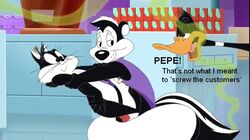 anatid anseriform avian bird daffy_duck domestic_cat duck edit felid feline felis female group humor looney_tunes male mammal mephitid penelope_pussycat penis pepe_le_pew sex skunk soft_feathers store straight warner_brothers