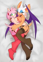 amy rose from sonic (series) by m0chanite
