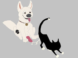 bolt_(character) bolt_(film) cat disney dog feral feral_on_feral interspecies mittens_(bolt) penis tagme