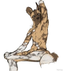 2019 african_wild_dog animal_genitalia anthro black_nose canid canine digital_media_(artwork) eyewear fingers glasses looking_at_viewer male male_only mammal nomax sheath simple_background sitting solo toes white_background