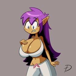 shantae (character) from shantae by defmno