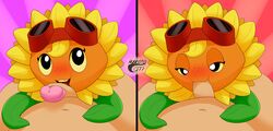 anthro dicksucking_creature electronic_arts elemental_creature elemental_humanoid eyewear fellatio female flora_fauna flower genitals goggles hi_res humanoid living_flower makoto177 male oral plant plant_human plants_vs_zombies:_heroes popcap_games straight sunflower video_games