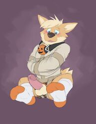 2019 anthro avery_(vir-no-vigoratus) ball_gag balls blush canid canine canis clothed clothing domestic_dog erection fur gag hair herding_dog humanoid_penis legwear male male_only mammal pastoral_dog penis purple_background simple_background socks solo straitjacket tan_body tan_fur tongue vir-no-vigoratus welsh_corgi