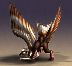 animal_genitalia avian bird feathers feral gryphon hybrid male male_only original_character shadarrius solo