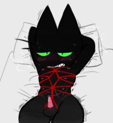 anonymous_artist balls bed black_body black_fur blush bondage bound cartoon_network domestic_cat erection felid feline felis fur furniture male male_only mammal mao_mao:_heroes_of_pure_heart multi_nipple nervous nipples penis rope rope_bondage rope_harness scar sheriff_mao_mao_mao tapering_penis yarn