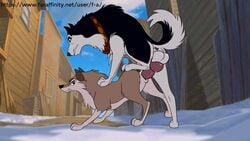 aleu animal_genitalia animal_penis animal_pussy animated balls balto balto_(film) canid canine canine_penis canine_pussy canis f-a female feral knot male mammal penetration penis pussy steele wolf