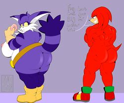 1girls ass big_ass big_the_cat commission donut female female_only knuckles_the_echidna mklancer00 muscular muscular_female overweight overweight_female rule_63 solo sonic_(series) tagme