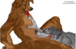 2019 animal_genitalia animal_penis anthro anthro_on_anthro blotch border_collie canid canine canine_penis canis collie detailed domestic_dog duo herding_dog hi_res male male/male mammal maxrange69 nude pastoral_dog penis penis_tip sex sheath sheepdog simple_background tongue