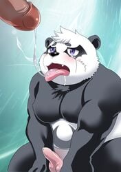 2019 absurd_res after_sex alp_(tokyo_afterschool_summoners) anthro balls black_body black_fur bodily_fluids crying cum cum_on_face erection fur genital_fluids giant_panda hi_res humanoid_penis male male/male mammal moobs overweight overweight_male penis q14658091 tears tokyo_afterschool_summoners tongue tongue_out ursid video_games white_body white_fur