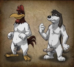 2boys anthro avian balls barefoot barnyard_dawg bird brown_background canine chicken claws dog erection foghorn_leghorn fur half-erect humanoid_penis interspecies k-9 looney_tunes male male_only mammal multiple_males multiple_penises penis_size_difference presenting_penis smile soft_feathers standing tagme testicles veiny_penis