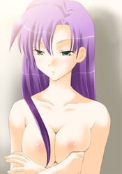 breast_squeeze cleavage crossed_arms faris_scherwiz female female_only final_fantasy final_fantasy_five final_fantasy_v green_eyes harapeko human nipples purple_hair solo topless