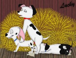 101_dalmatians cadpig canine disney dog female feral fur lucky_(101_dalmatians) male mammal penis straight two-tone