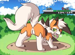 10s 2019 anus ass blush bodily_fluids canid canine canis detailed_background drooling dusk_lycanroc female feral fur furry furry_only generation_7_pokemon genital_fluids green_eyes looking_at_viewer looking_back lycanroc mammal naked nintendo nude nulloffset open_mouth orange_body orange_fur outside pokemon pokemon_(species) presenting presenting_anus presenting_hindquarters presenting_pussy pussy saliva smile solo tail tongue tongue_out video_games wet white_body white_fur