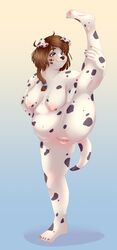 2021 5_fingers 5_toes absurd_res anthro ass belly big_breasts black_nose black_spots blue_eyes braided_hair breasts butt_from_the_front canid canine canis chubby_female dalmatian digital_media_(artwork) domestic_dog feet female fingers flexible fur genitals hair hand_on_leg hi_res holding_leg humanoid_feet humanoid_hands jest56 mammal monika_(klausd) navel nipples nude one_leg_up pose pussy raised_leg red_hair simple_background slightly_chubby smile solo splits spots spotted_body spotted_fur spread_legs spreading standing stretching toes vertical_splits white_background white_body white_fur