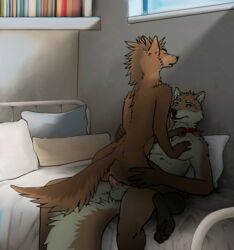 2019 5_fingers animated anthro anthro_on_anthro anthro_penetrated anthro_penetrating anthro_penetrating_anthro anus ass balls bed bedroom biped bookshelf breasts brown_body brown_fur canid canine canis cheek_tuft closed_eyes collar cowgirl_position detailed_background domestic_dog duo eyebrows facial_tuft female female_penetrated fingers fluffy fluffy_tail frame_by_frame fur furniture grabbing hand_on_butt hand_on_chest hand_on_hip head_tuft humanoid_hands inside looking_at_another loop lying male male_penetrating male_penetrating_female mammal mostly_nude nude on_back on_bed on_top pawpads paws penetration penile penis pillow pussy sex side_boob sterr straight three-quarter_view tuft vaginal_penetration white_body white_fur window