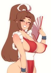 mai shiranui from fatal fury by doxy