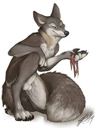 animal_genitalia anthro arctic_fox balls canid canine fox fully_sheathed lizet male mammal penis sheath sheathed_penis solo