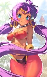 shantae (character) from shantae by life is pi