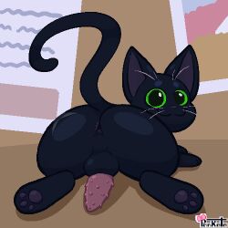 little kitty (lkbc) fan art