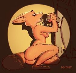 2025 absurd_res anthro areola ass balls big_areola bodily_fluids canid canine colored cum cum_in_mouth cum_inside cum_on_face cum_on_snout cumshot de4dset diane_foxington digital_drawing_(artwork) digital_media_(artwork) dim_lighting dreamworks duo ears_back ejaculation female fluffy fluffy_tail foreskin fox fur genital_fluids genitals grey_balls grey_body grey_foreskin grey_penis handjob hi_res male male/female mammal nipples nude nude_anthro nude_female orange_body orange_ears orange_fur orange_text penile penis pink_areola pivoted_ears sex signature spotlight tail text the_bad_guys tongue tongue_out