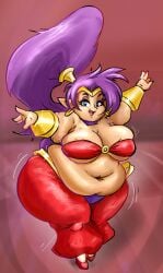 shantae (character) from shantae by ryoxxl